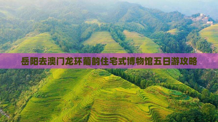 岳阳去澳门龙环葡韵住宅式博物馆五日游攻略