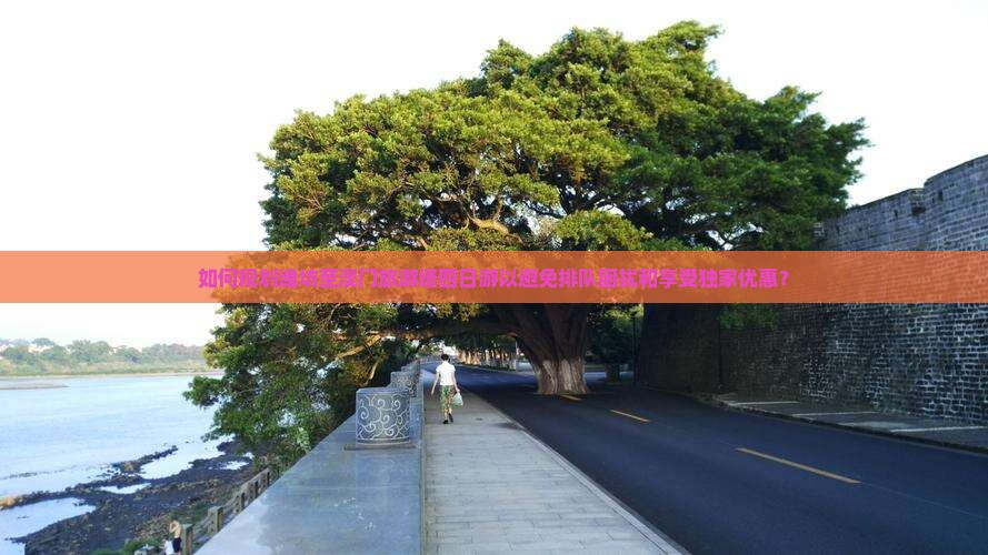 如何规划潍坊至澳门旅游塔四日游以避免排队困扰和享受独家优惠？