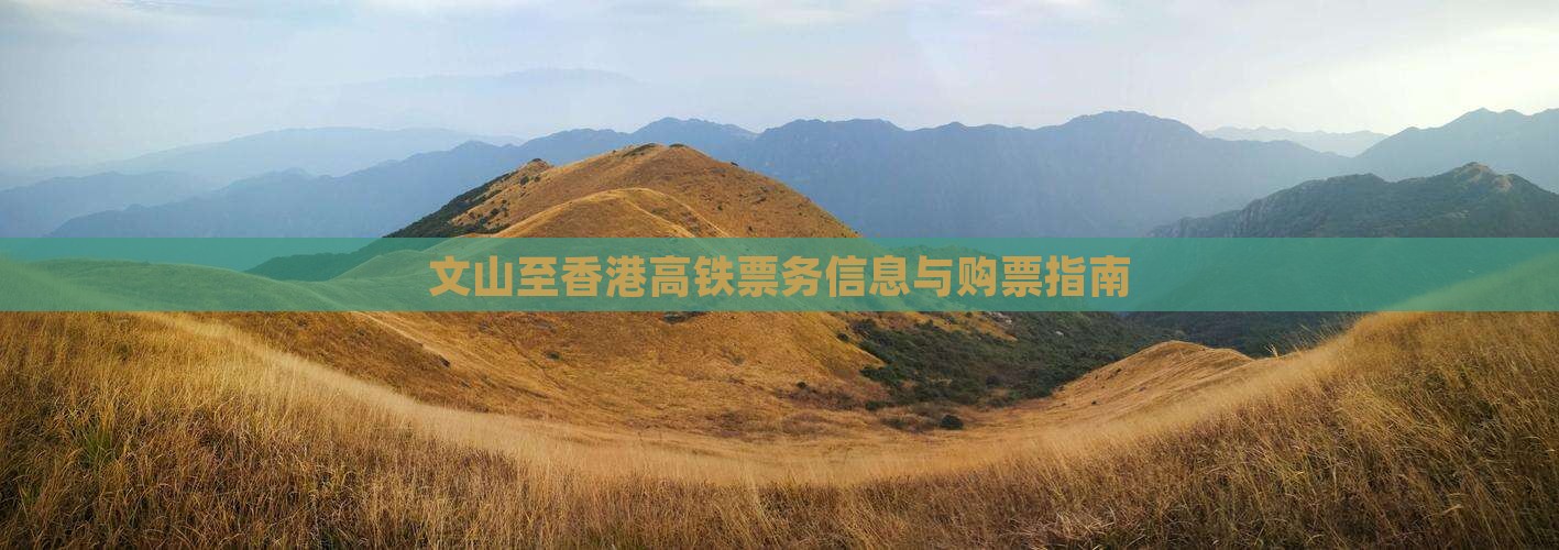 文山至香港高铁票务信息与购票指南