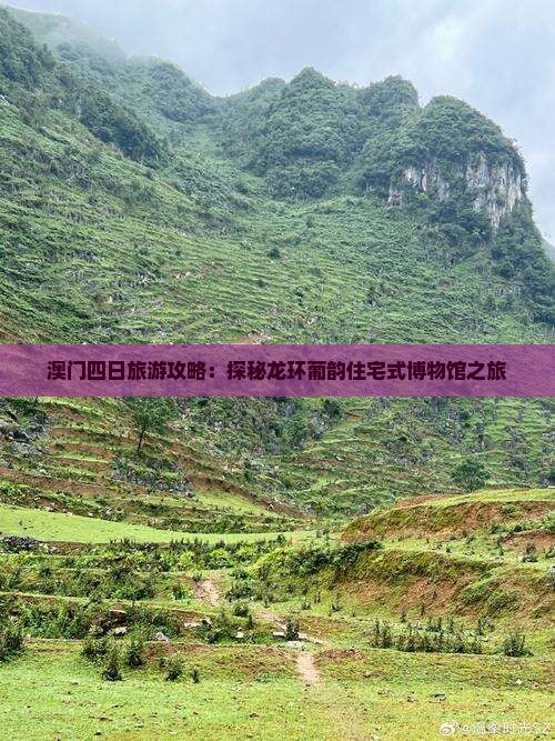 澳门四日旅游攻略：探秘龙环葡韵住宅式博物馆之旅