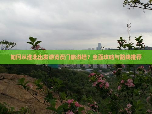 如何从淮北出发游览澳门旅游塔？全面攻略与路线推荐