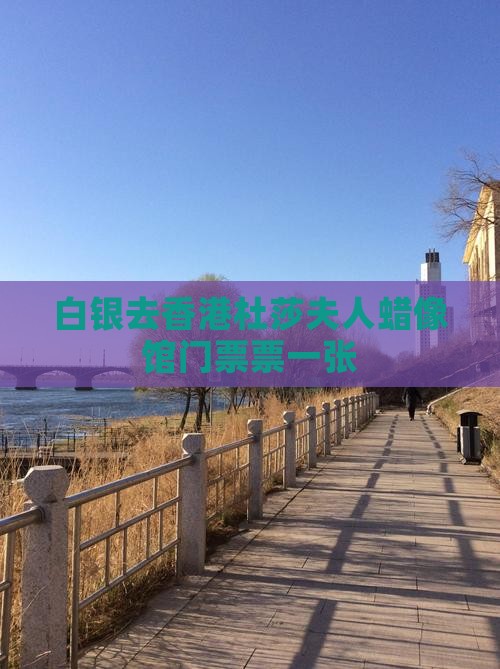 白银去香港杜莎夫人蜡像馆门票票一张