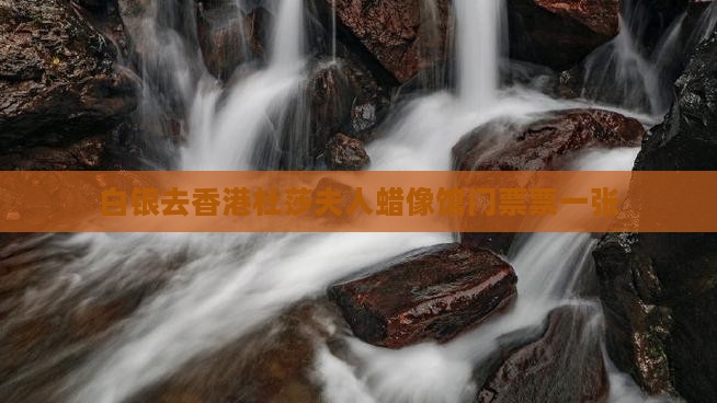 白银去香港杜莎夫人蜡像馆门票票一张