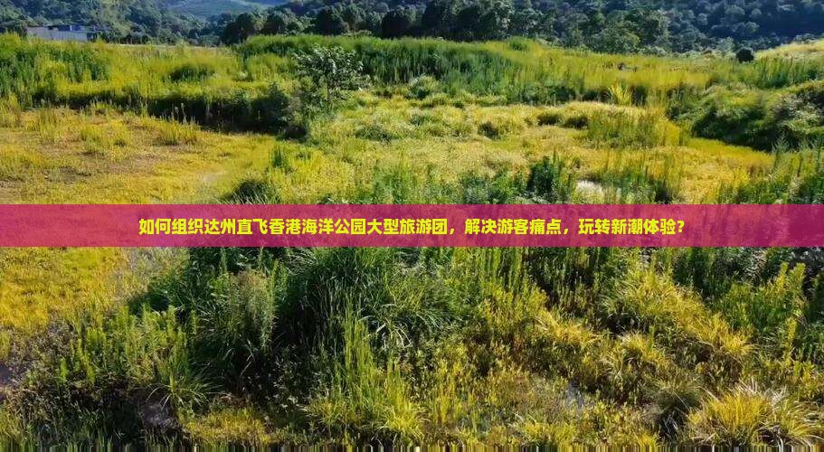 如何组织达州直飞香港海洋公园大型旅游团，解决游客痛点，玩转新潮体验？