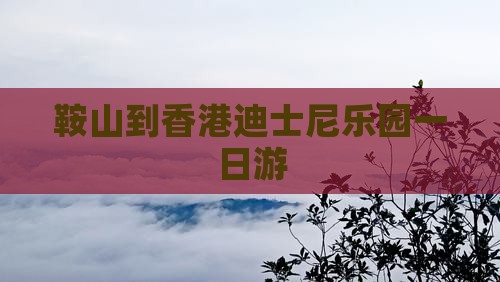 鞍山到香港迪士尼乐园一日游