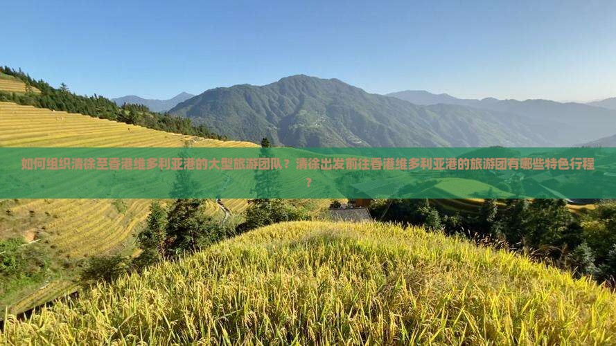 如何组织清徐至香港维多利亚港的大型旅游团队？清徐出发前往香港维多利亚港的旅游团有哪些特色行程？