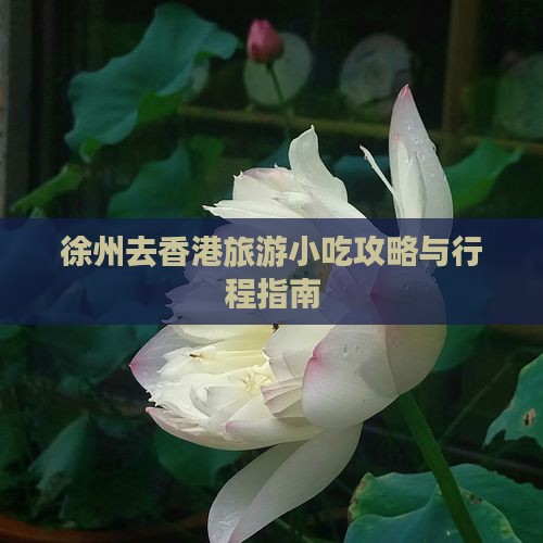 徐州去香港旅游小吃攻略与行程指南