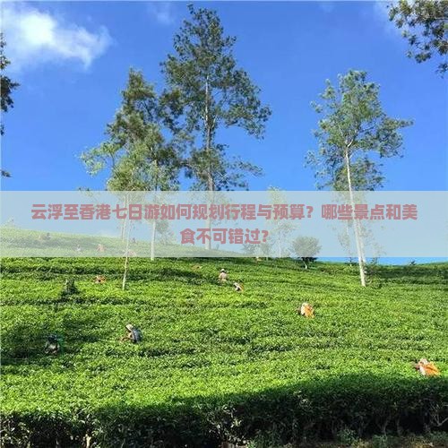 云浮至香港七日游如何规划行程与预算？哪些景点和美食不可错过？