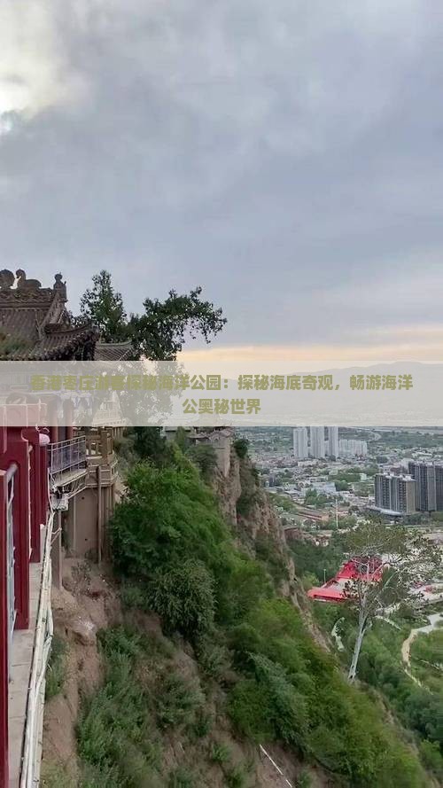 香港枣庄游客探秘海洋公园：探秘海底奇观，畅游海洋公奥秘世界