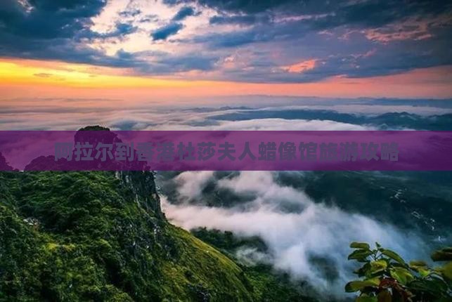 阿拉尔到香港杜莎夫人蜡像馆旅游攻略