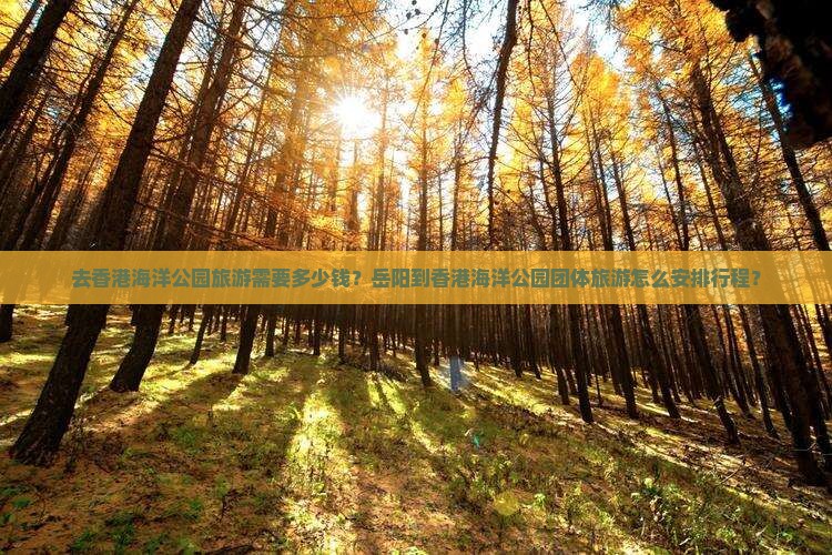 去香港海洋公园旅游需要多少钱？岳阳到香港海洋公园团体旅游怎么安排行程？