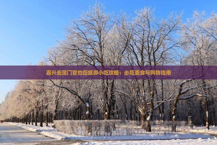 嘉兴去澳门官也街旅游小吃攻略：必吃美食与购物指南