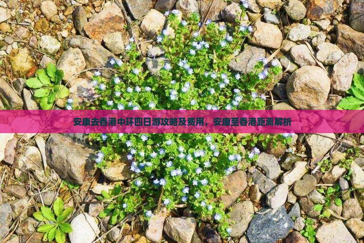 安康去香港中环四日游攻略及费用，安康至香港距离解析