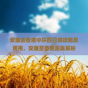 安康去香港中环四日游攻略及费用，安康至香港距离解析