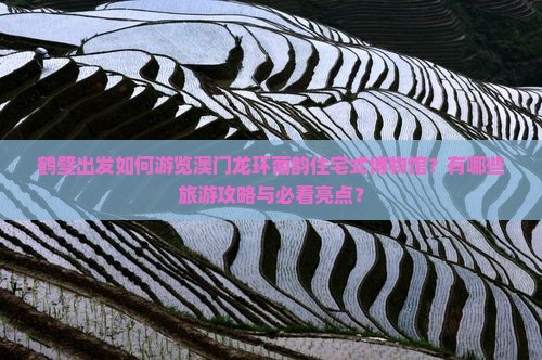 鹤壁出发如何游览澳门龙环葡韵住宅式博物馆？有哪些旅游攻略与必看亮点？