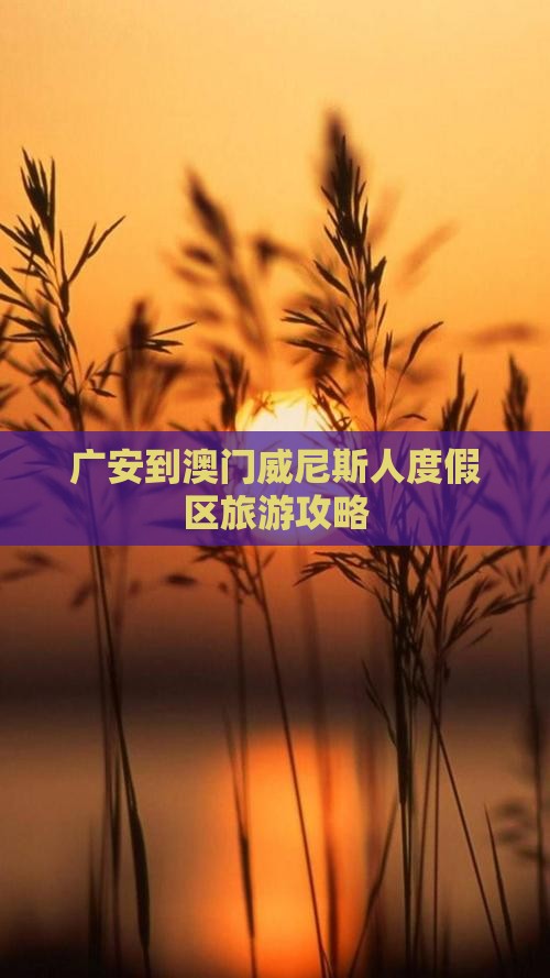 广安到澳门威尼斯人度假区旅游攻略