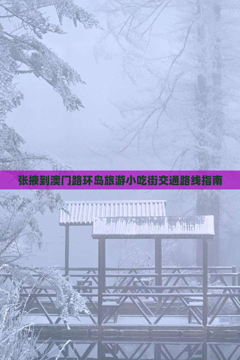 张掖到澳门路环岛旅游小吃街交通路线指南