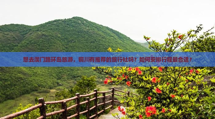 想去澳门路环岛旅游，铜川有推荐的旅行社吗？如何安排行程最合适？