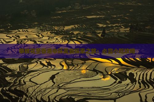 攀枝花至香港中环美食探索之旅：必尝小吃攻略