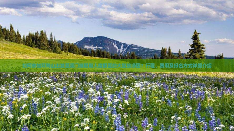 如何参加双鸭山出发至澳门威尼斯人度假区的大型旅游团？行程、费用及报名方式详细介绍