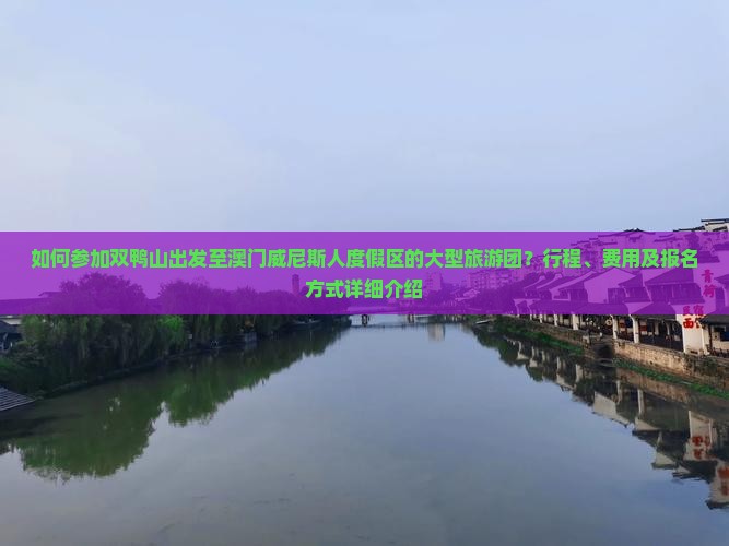 如何参加双鸭山出发至澳门威尼斯人度假区的大型旅游团？行程、费用及报名方式详细介绍