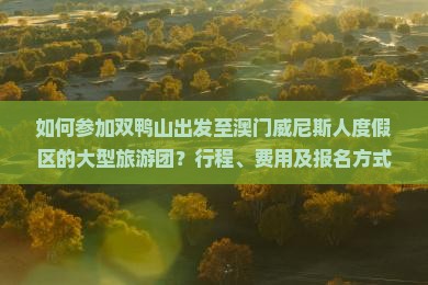 如何参加双鸭山出发至澳门威尼斯人度假区的大型旅游团？行程、费用及报名方式详细介绍