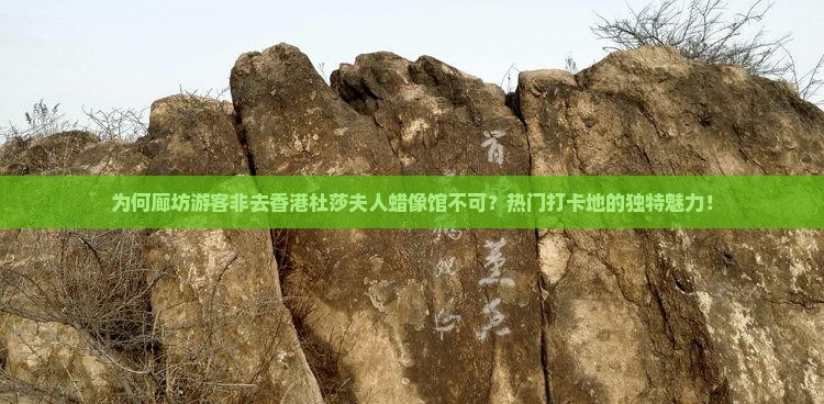 为何廊坊游客非去香港杜莎夫人蜡像馆不可？热门打卡地的独特魅力！