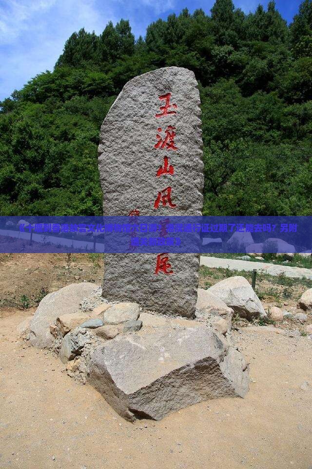 《十堰到香港故宫文化博物馆六日游？港澳通行证过期了还能去吗？另附通关新政策》