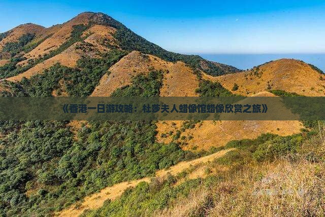《香港一日游攻略：杜莎夫人蜡像馆蜡像欣赏之旅》