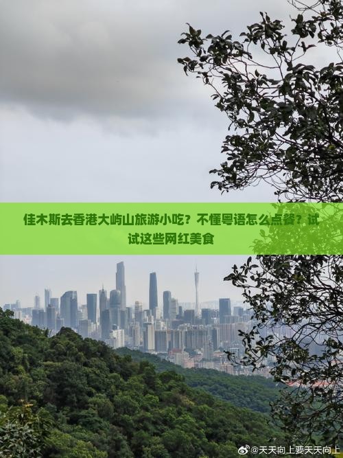 佳木斯去香港大屿山旅游小吃？不懂粤语怎么点餐？试试这些网红美食
