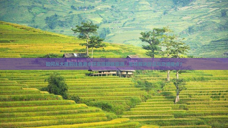 如何从大理前往香港中环实现团体旅游，怎样解决签证与交通痛点？
