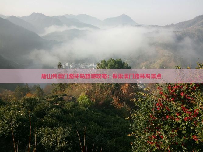 唐山到澳门路环岛旅游攻略：探索澳门路环岛景点