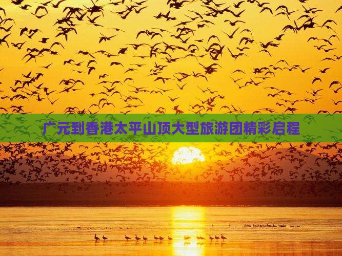广元到香港太平山顶大型旅游团精彩启程
