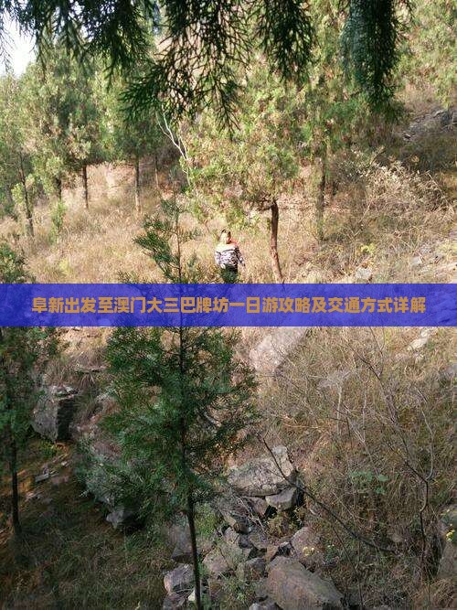 阜新出发至澳门大三巴牌坊一日游攻略及交通方式详解