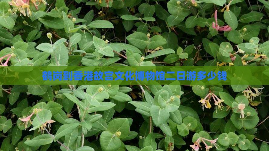 鹤岗到香港故宫文化博物馆二日游多少钱