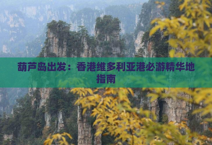 葫芦岛出发：香港维多利亚港必游精华地指南