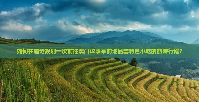 如何在临沧规划一次前往澳门议事亭前地品尝特色小吃的旅游行程？