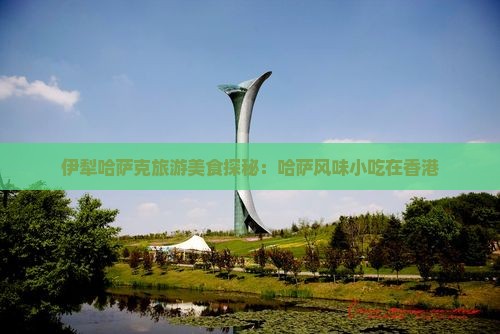 伊犁哈萨克旅游美食探秘：哈萨风味小吃在香港