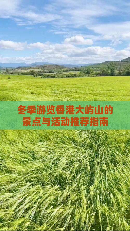 冬季游览香港大屿山的景点与活动推荐指南