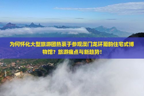 为何怀化大型旅游团热衷于参观澳门龙环葡韵住宅式博物馆？旅游痛点与新趋势！