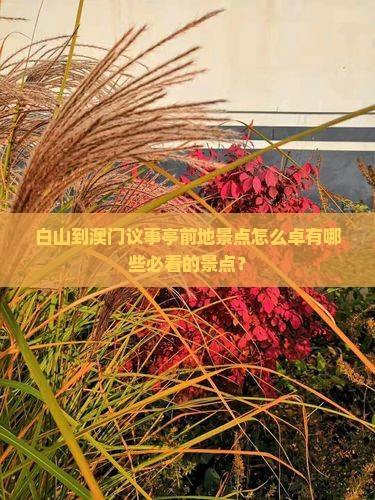 白山到澳门议事亭前地景点怎么卓有哪些必看的景点？