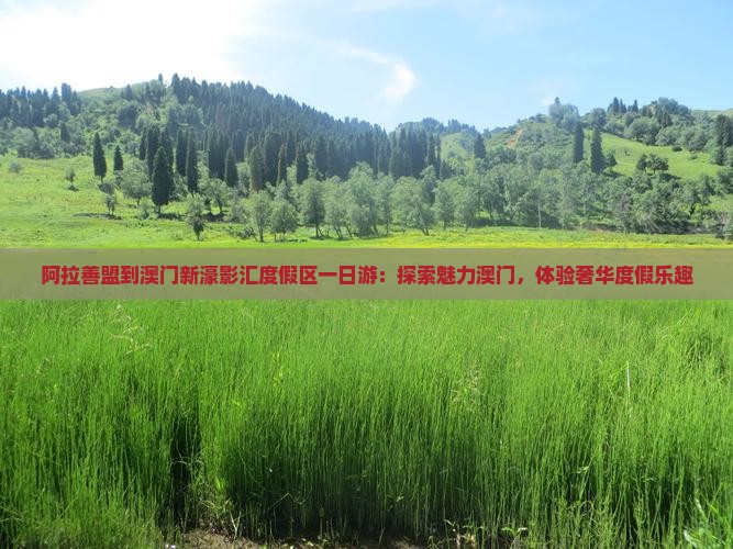 阿拉善盟到澳门新濠影汇度假区一日游：探索魅力澳门，体验奢华度假乐趣