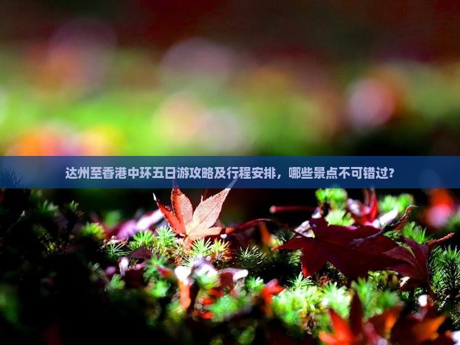 达州至香港中环五日游攻略及行程安排，哪些景点不可错过？