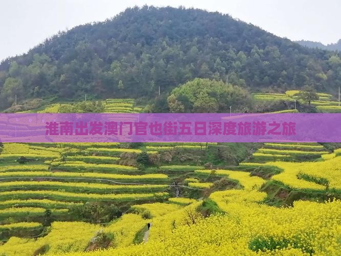 淮南出发澳门官也街五日深度旅游之旅