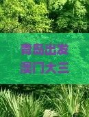 青岛出发澳门大三巴牌坊深度个人游：探秘大三巴牌坊之美