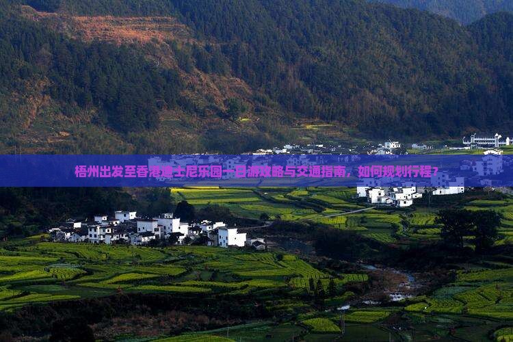 梧州出发至香港迪士尼乐园一日游攻略与交通指南，如何规划行程？
