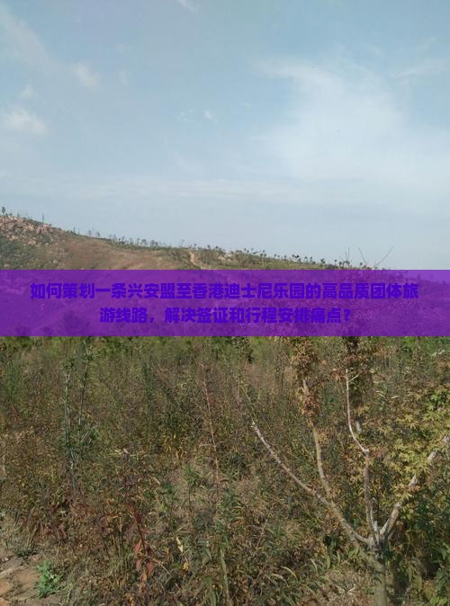 如何策划一条兴安盟至香港迪士尼乐园的高品质团体旅游线路，解决签证和行程安排痛点？