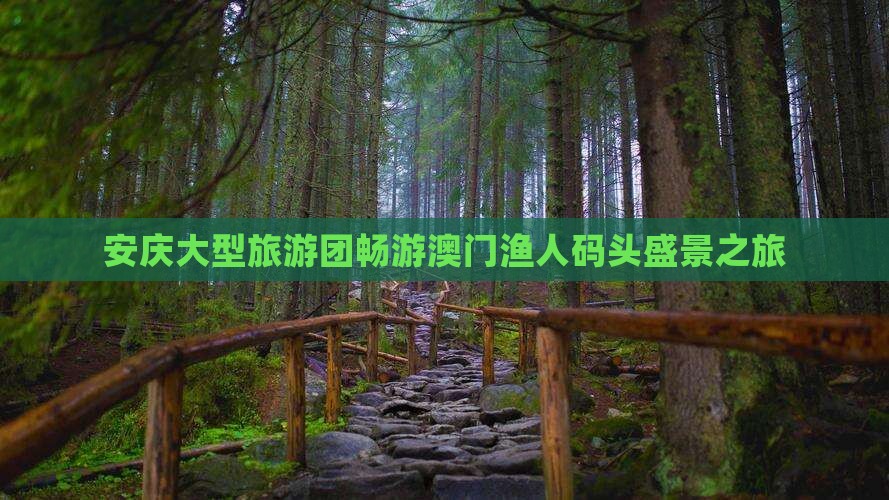 安庆大型旅游团畅游澳门渔人码头盛景之旅