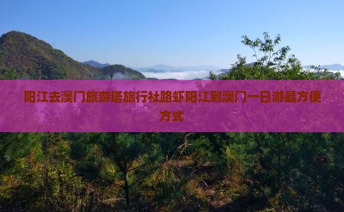 阳江去澳门旅游塔旅行社路虾阳江到澳门一日游最方便方式