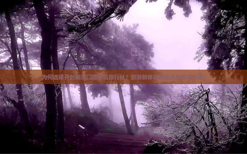为何选择开封到澳门路环岛旅行社？旅游新体验的痛点与解决方案！